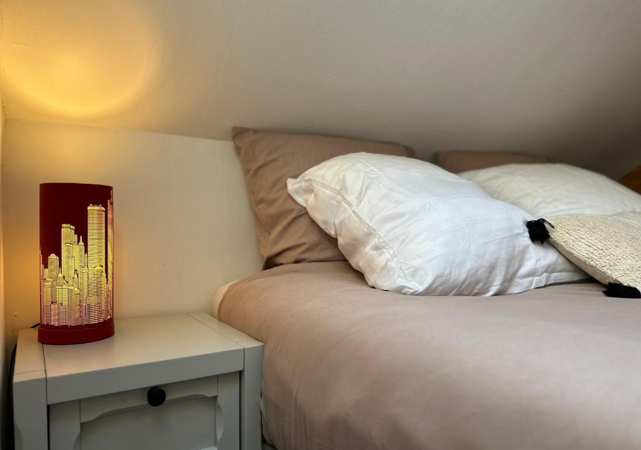 Duplex Loft - Central & Home Cinema Annecy Bagian luar foto