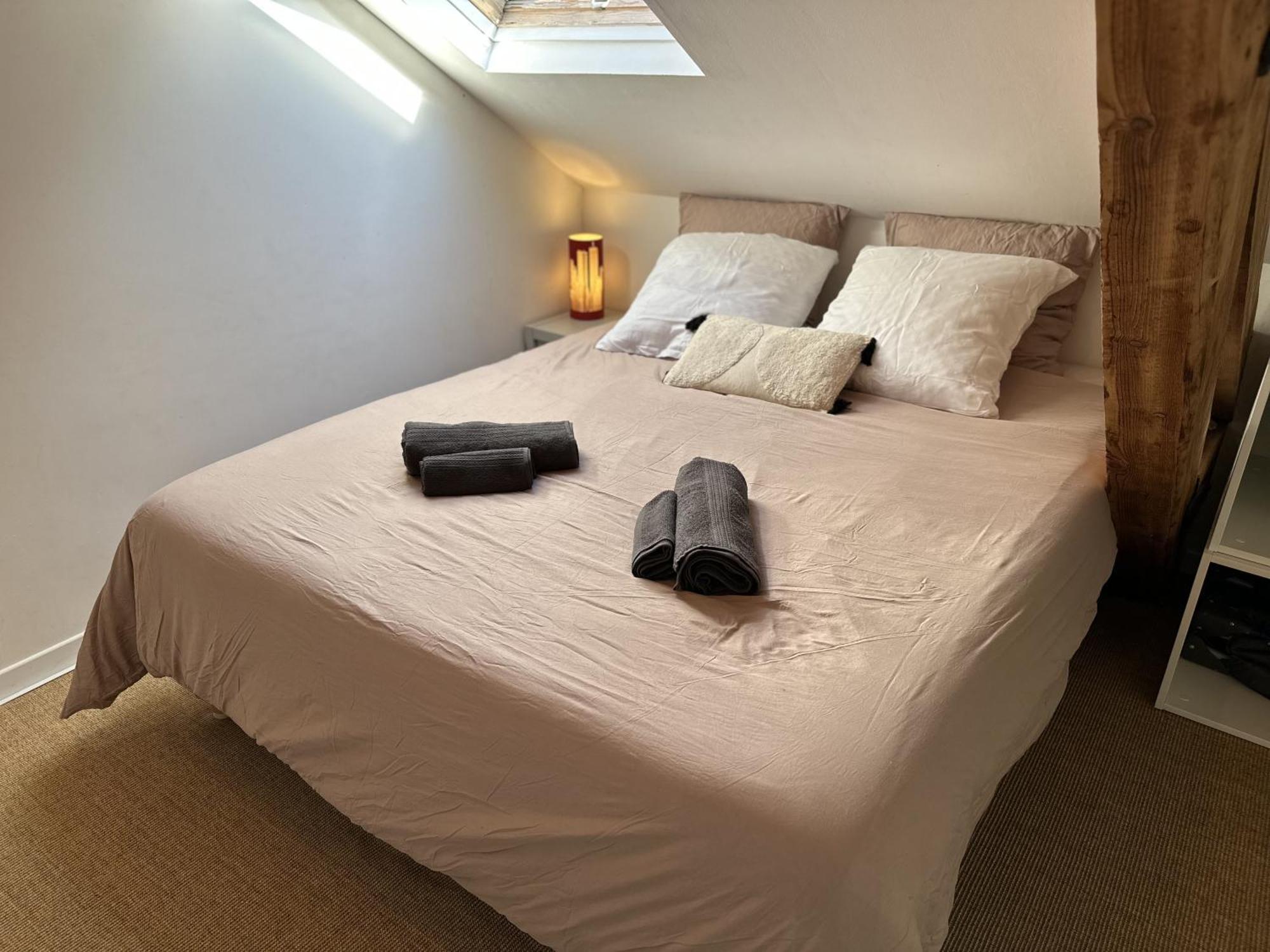 Duplex Loft - Central & Home Cinema Annecy Bagian luar foto